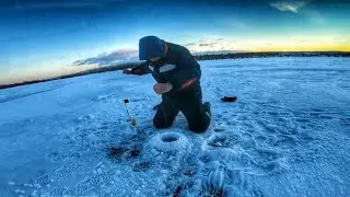 ЭТО ЕГО ПЕРВАЯ!!! Жерлицы !!! Щука !!! Рыбалка на озере | БАРХАТОВО