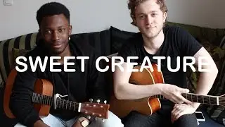 HARRY STYLES - SWEET CREATURE COVER