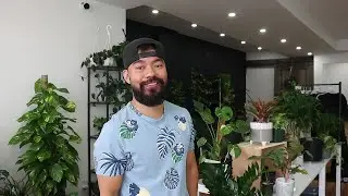 Crazy Plant Shop Update | The Grand Opening + Houseplant Community