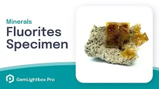 Fluorites Specimen | Minerals Taken With GemLightbox Pro