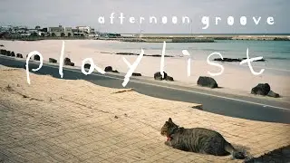 [playlist] 내가 들으려고 만든 플리 | 까딱까딱 흔들흔들 오후의 그루브 | korean indie songs