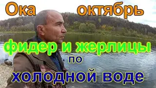 Ока октябрь фидер и жерлицы по холодной воде