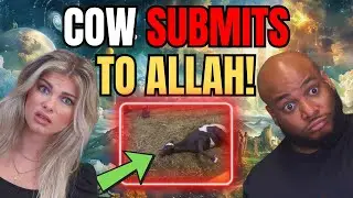 Muslim Prayer makes cow SUBMIT to GOD - SHOCKING