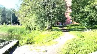 Кабаны в Межапарке
