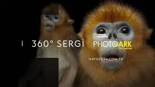 National Geographic I Photo Ark 360 - Sanal Deneyim
