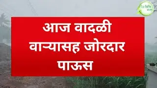 IMD rain alert राज्यात वादळी वाऱ्यासह जोरदार पावसाचा इशारा अवकाळी पाऊस  big breaking news
