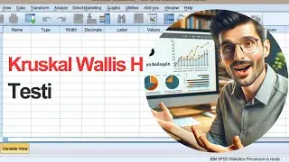 SPSS ile Kruskal Wallis H Testi