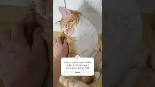 Эту позу я называю - лыжник
