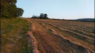 Sabahın Sesi.. (orjinal ses)