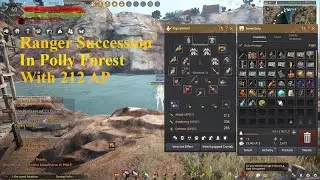 Ranger Succession 212 AP | Polly Forest