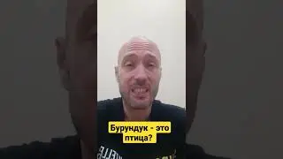 Бурундук это птица?