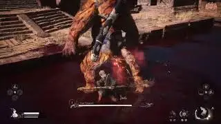 Black myth Wukong fighting the tiger king till it works