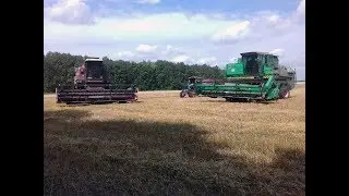 Уборка 2017. Убираем озимую пшеницу.
