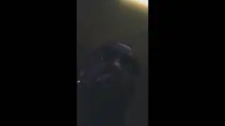 Young Thug - We Play No Games ft. Offset & Swae Lee (Snippet Compilation)