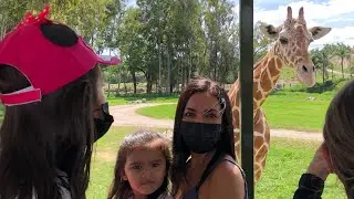 Zoo Safari Guadalajara Mexico