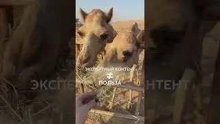 ПОЛЬЗА ≠ ЭКСПЕРТНОСТЬ. Экспертность - это ваш личный опыт (и опыт учеников по вашим советам) 