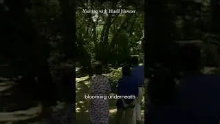 California's Oldest Oak Tree in Descanso Gardens | Visiting with Huell Howser