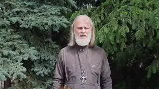 Неродившиеся младенцы попадают в ад? Вопросы и ответы.