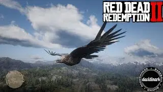 Fly Like An Eagle! Red Dead Redemption 2 PC Mods: Lenny's Simple Trainer