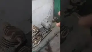 DICAS importantes da gaiola