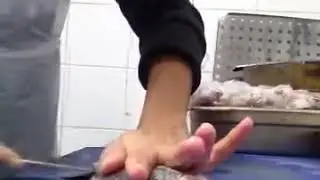 How to fillet a fish/lavrac fish