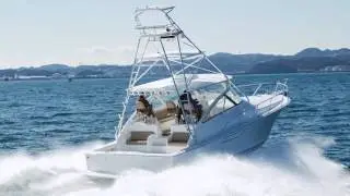 VIKING 42 Open - Impression