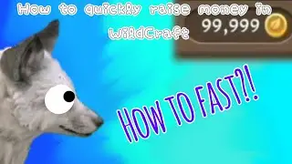 💜 How to fast colect money in Wildcraft  / Jak szybko monety w Wildcraft 💜