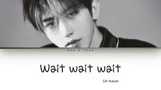 Cai Xukun (蔡徐坤) - Wait Wait Wait Lyrics