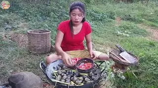 Catching River Snails and Boiling for jungle food + 10 More Cooking Videos @RinaAdventureAllTime