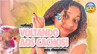 ROTINA CAPILAR VOLTANDO AOS CACHOS | PÓS CHAPINHA 😰✨ #cabelocrespo #cabelocacheado #finalização