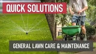 Quick Solutions: General Lawn Care & Maintenance