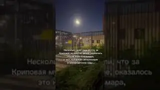 Детский сад установил себе криповую сигнализацию, напоминающую песню из «Игры в кальмара».