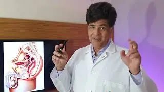 Estou de volta! E com mais um nome estranho - Orquiepididimite