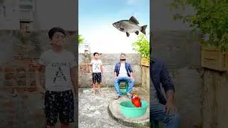 Catching parrot & dog vs samosa & icecream funny vfx magic | Kinemaster editing
