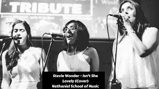 Stevie Wonder - Isn't She Lovely (Cover)