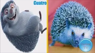 Ferdinand Characters in real life #2