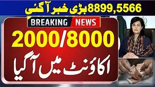 Ehsaas Rashan Program Online | Ehsaas Rashan New Update | 5566 Utility Store | 8123 Rashan Program