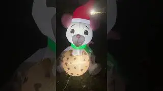 My Christmas front yard village