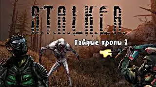 S.T.U.L.K.E.R. - Тайные тропы 2 другая история новый сюжет пятый
