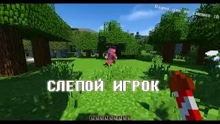 RUSMCLS - Слепой игрок