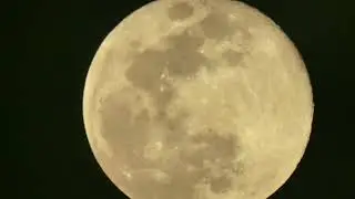 The Moon 16 November 2024 Phnom Penh