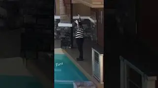 Changed His Mime, I Mean Mind 🤣🤣🤣 Tom the Mime
