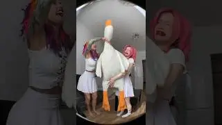 Анимэ