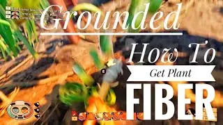 Grounded How To Get Plant Fiber