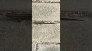 Шустрый пешеход 🤣🤣🤣