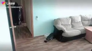 Тупо мы с подругой когда одни