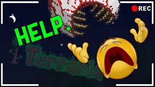 idiots try to beat Terraria on EXPERT MODE for the first time