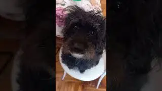 у Евы экзистенциальный кризис 😊