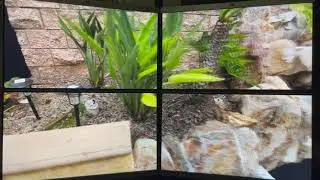 Gaussian Splatting with 4 displays