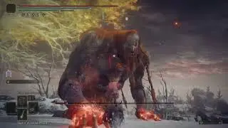 Elden Ring - Fire Giant No Hit NG+7